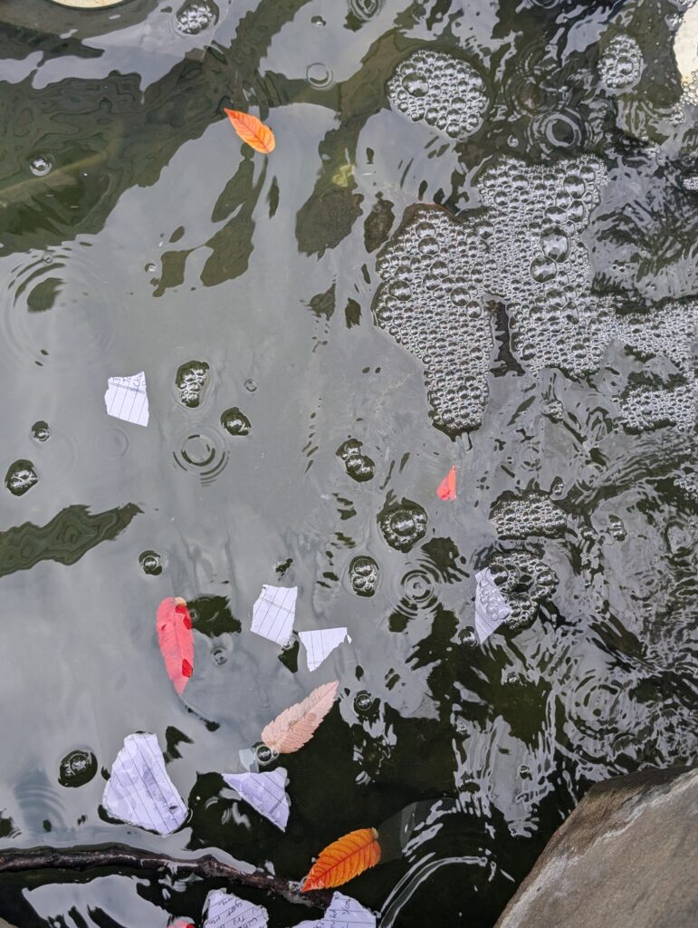 PXL_20250804_174938498.MP Leaves and torn up lined paper float in dark water of a fountain